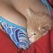 You will really really wish you were this kitten [PIC]