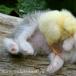 The Cutest Photo You'll See All Month On The Internets/Tubes /Web(Photo)