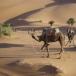 This is how they keep the camels from running away [pic]