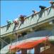 Bear Clinging to Bridge, Creatively Saved by Volunteers (w/pics)