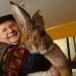 Biggest Rabbit I have EVER Seen