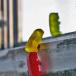The World of Gummy Bears (PICS)