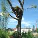 7 Examples of Bizarre and Amazing Plant, Grass and Moss Art [PICS]