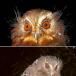 Top Ten Photos of 2007 From National Geographic