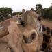 10 of the Strangest Animal Stories of 2008 [w/pics & vids]