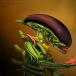 The Salad Monster: Eat Your Greens or They'll Eat You!