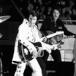 New Photos of Elvis in 1972 Surface