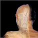 An Atlas of the Human Body (Never Seen PICS)