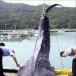 Out-of-This-World Fishing (PICS)