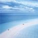 10 of the World's Most Luxurious Private Islands [PICS]