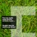 Create a Spectacular Grass Text Effect in Photoshop