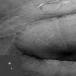 Descent of the Phoenix! [Astronomy Photo of the Day]