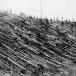 Stunning Images of Meteors Who Crash Landed on Earth [PICS]