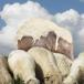 How Do You Hide An Elephant? (PICS)